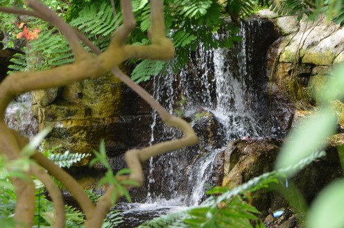 Waterfall through the trees.