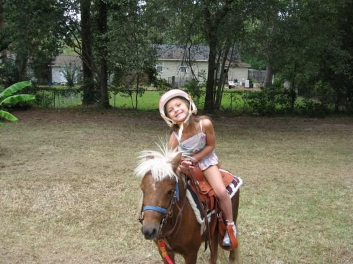 My granddaughter with her pony and riding helmet.