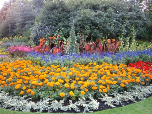 Feast your eyes on the play of palette and petals. 