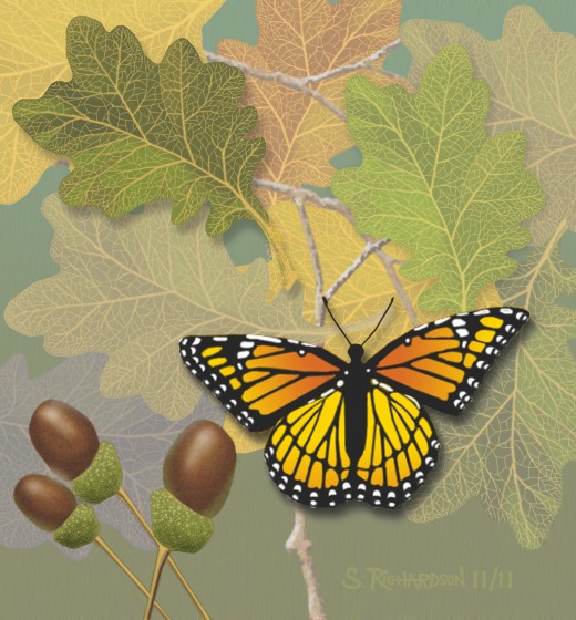 Monarch Butterfly - Painted in PhotoShop by the author