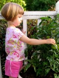 More Fun Classroom Activities to Interest Children / Kids in Growing Plants