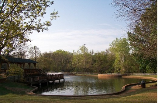 Ahh, we are arriving at Hafer Park pond where  fish, ducks, geese and turtles play.  It was a beautiful clear morning, warm with a sweater and cool in the early breeze.