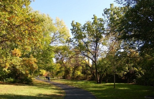 The restful colors of a quiet day, a leisurely walk in the park, brings color to the cheek and peace to the heart. Marked trails are well traveled.