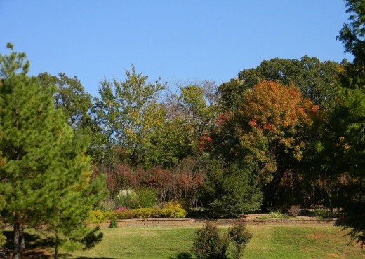 This garden on a hill is beginning to exhibit the painted hues of autumn as it overlooks the animal activity in Hafer Park. just beyond the pond.