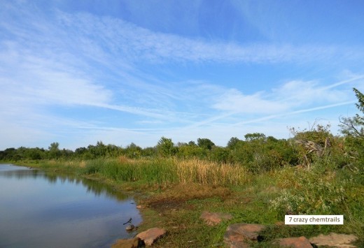 This southeast shoreline of Beckham-Rudkin Pond lies stolidly under the chemtrails in the northern sky.  There are at least 7 chemtrails in the picture, the largest being expanded horizontally at the top of picture.