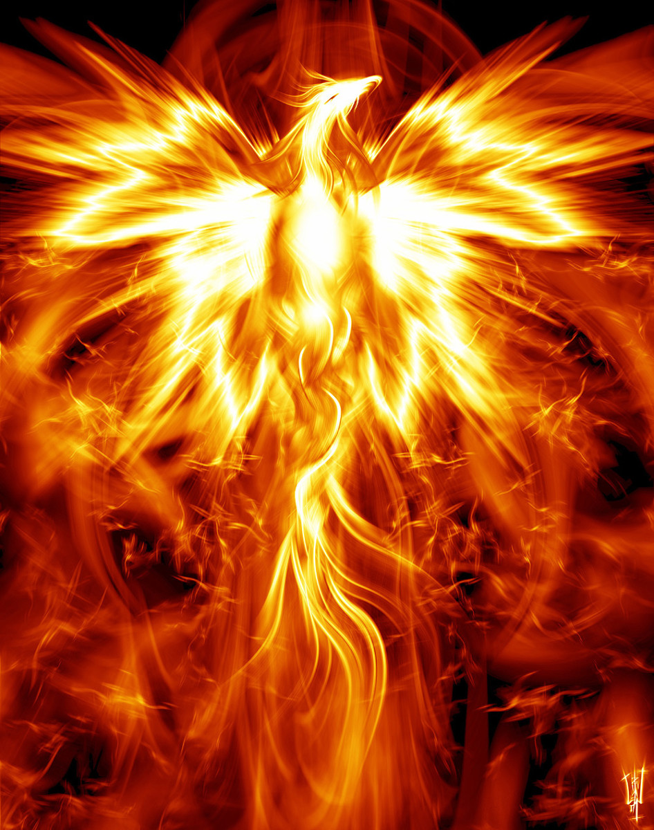 Animal Spirit Guide Meaning & Interpretation: The Phoenix ...