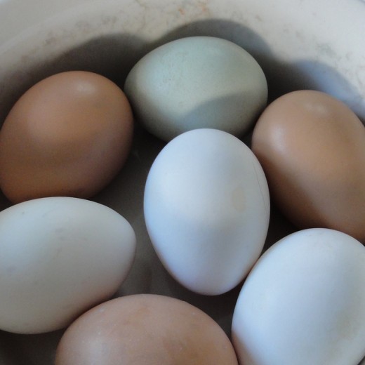 Do not put your eggs in one basket - diversifying your investment provides protection against loss.