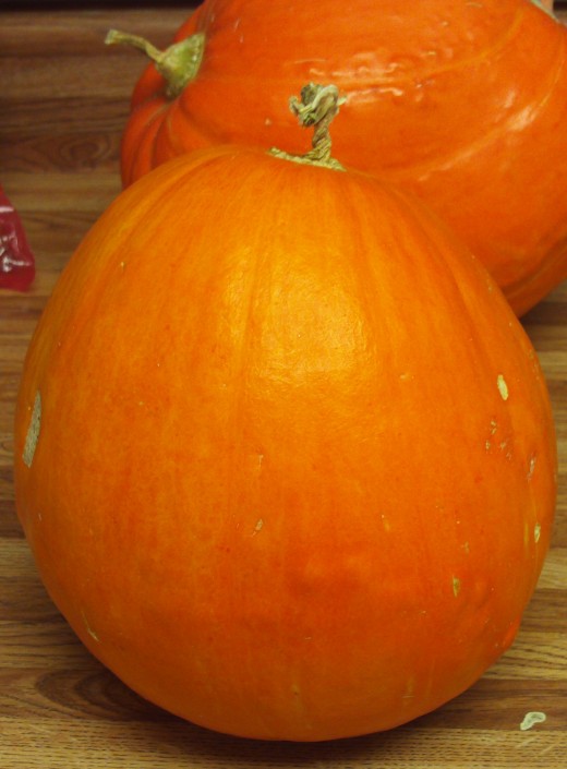 The picture of a pumpkin I used for the reference photograph.