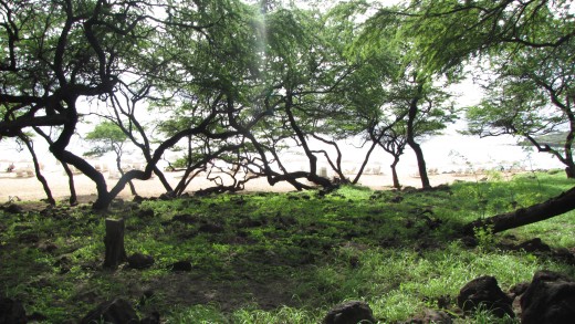 The road to Manele