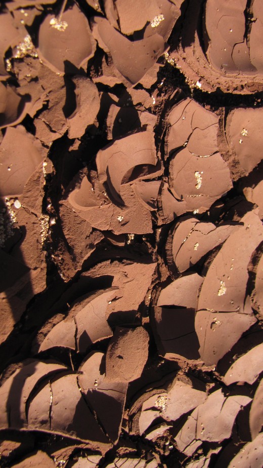Garden of the Gods cracked mud