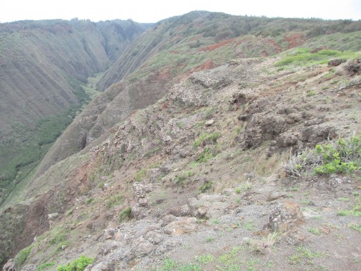 View from the top of Koele Trail