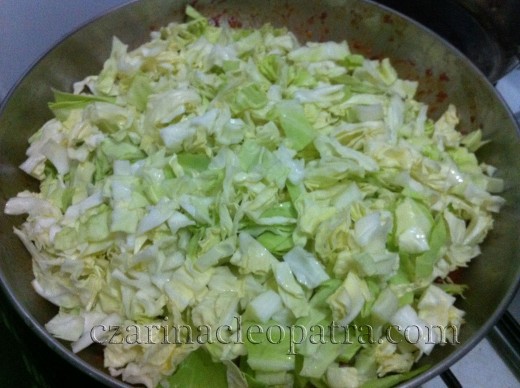 Add cabbage and cover for 2 minutes.