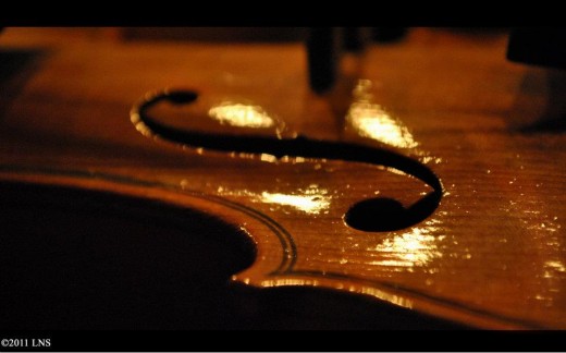 Macro shot of a violin