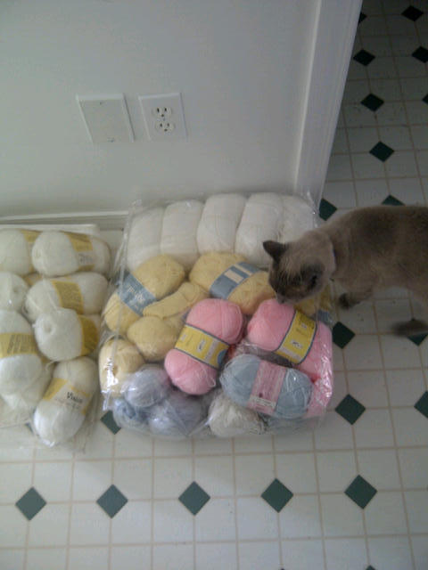 My cat checking out the new yarn - donated to me by a de-cluttering coworker 