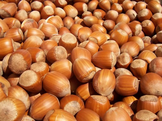 Hazelnuts. Nuts, beans, and whole grains. Plant protein is the most green.