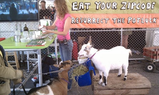 A goat cheese making demonstration proclaims "Eat your zipcode. Be a localvore.