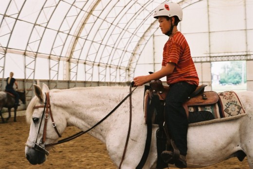 Horseback Rider. ©2010 Sarah Haworth.