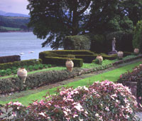 The Terrace