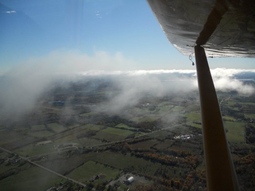 Under Glider Wings. ©2011 Sarah Haworth.