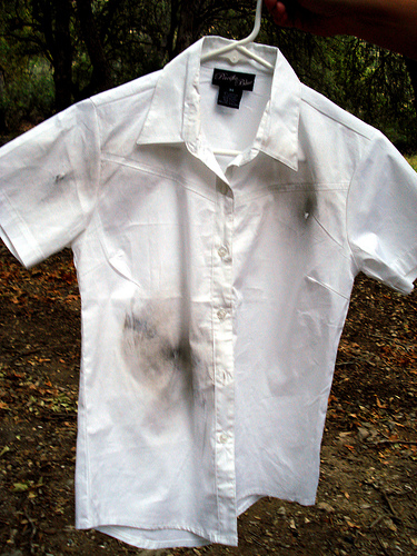 Get that stain out naturally.  Don't resort to using harmful chemicals.