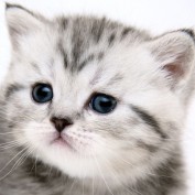 claragenkins profile image