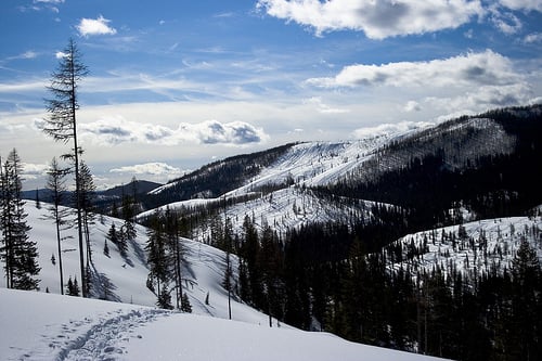 Embrace the elements of winter and enjoy the snow!