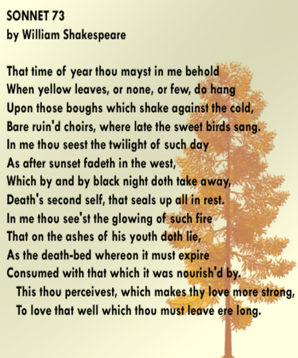 A literary analysis of a fool in hamlet by william shakespeare