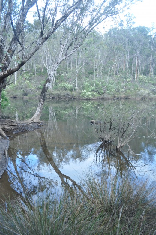 ...send the positive ripples toward the world and watch the positive affect flow on...