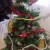 This! Don't worry if the arrangement doesn't look right, you can rearrange things as you go along with the bauble decorations next.... This! Don't worry if the arrangement doesn't look right, you can rearrange things as you go along with the bauble decorations next....