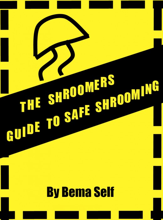 Get this e-guide on Smashwords in almost any electronic format!