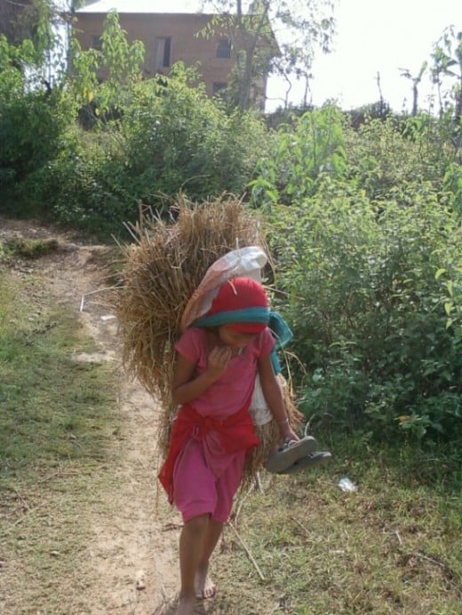 A young girl walks with a load of paddy on her back and slippers on her hand. “Why are you not wearing slippers,” I asked. “I’m getting late for school and I find bothersome to walk in slippers,” she said.
