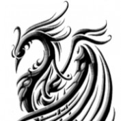 synthasam23 profile image
