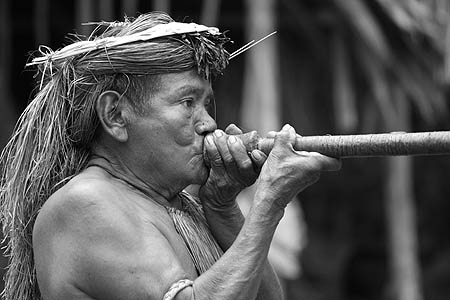 Amazonian man demonstrating the use of a blowgun.