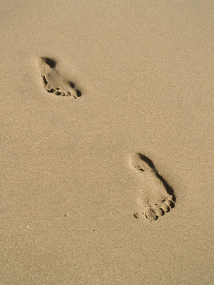 Sano by Mephisto give support to the feet, and replicate the benefits of barefoot walking