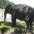 The elephant at the zoo The elephant at the zoo