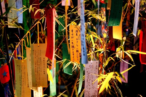 Tanzaku during Tanabata