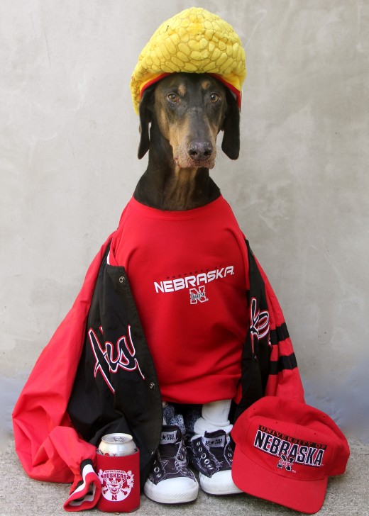 How this California dog became a Cornhusker fan will always be a mystery. Go Big Red!