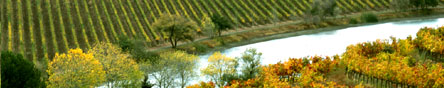 the beautiful Quintessa Vineyards