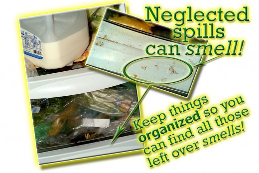 Spills and over loading your refrigerator can lead to bad smells if not cleaned properly with essential oils!