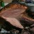 You can see the moistness in the slice. You can see the moistness in the slice.
