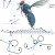 Diagram of a fly in flight, in the upstroke. The total force exerted and its direction are indicted by black arrows.  The magnitude and direction of the lifting forces are indicated by blue arrows.