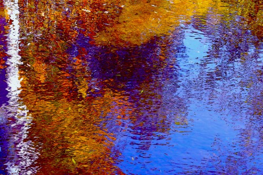 This is called "abstract" photography...I used an oil painting setting on Photo Lab and created something like a Van Gogh from nature..
