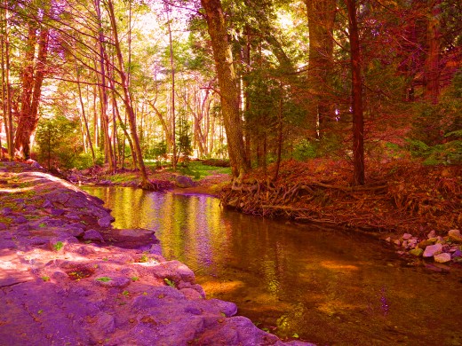 By using a photo filter (violet) I created more drama to this autumn creek..