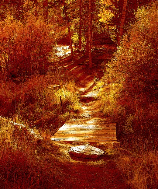 A deep golden filter provided warmth to this autumn trail scene, taken in lovely Big Bear, Ca.