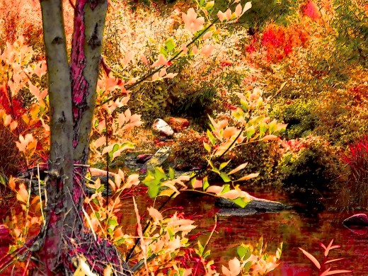 Autumn tones can have apricot as well as some slice of green in them, also, as in this shot..