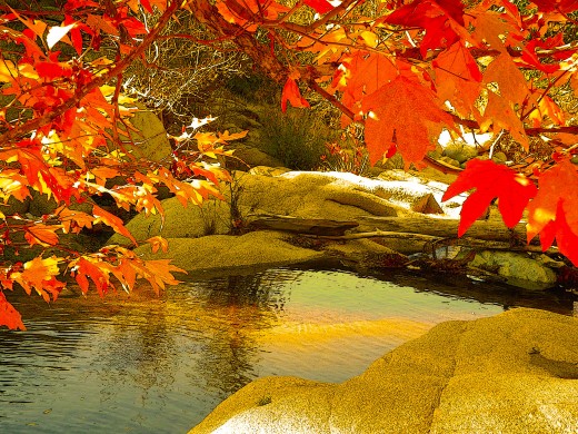 Again, I used a frame of red leaves to make an appealing composition of this pool..
