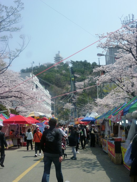 Jinhae Cherry Blossom Festival in April