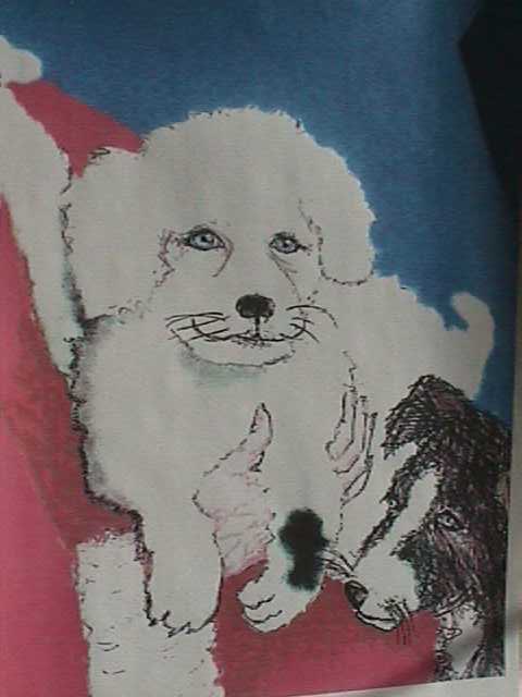 Mrs. Santa. Snow Puff, and Bolo in a favorite portrait.