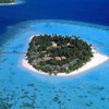 maldivesholidays profile image
