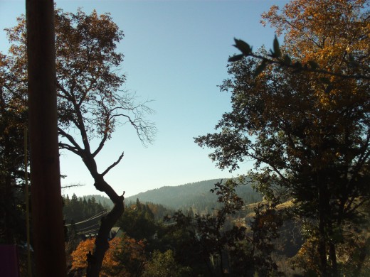 Trees in the foreground and along the hillside.